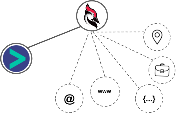 Woodpecker integration diagram