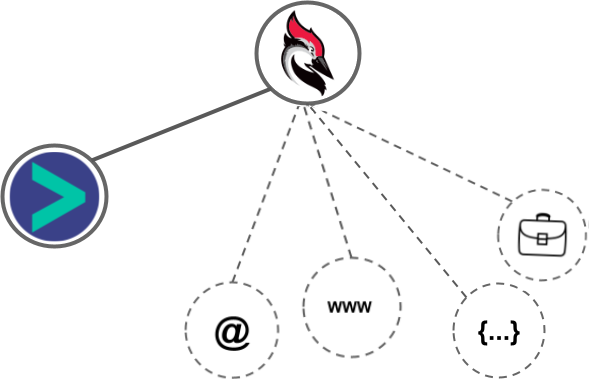Woodpecker integration diagram